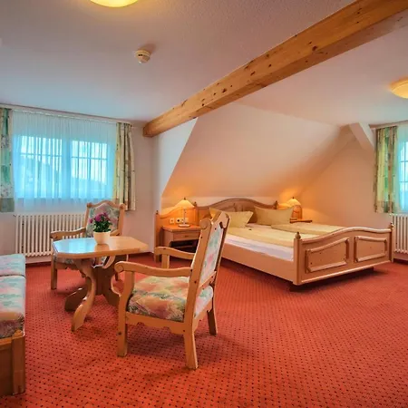 Jufa Schwarzwald فندق